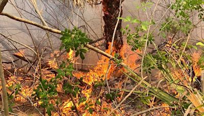 Martin County firefighters working to contain Palm City brush fire