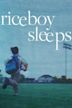 Riceboy Sleeps (film)