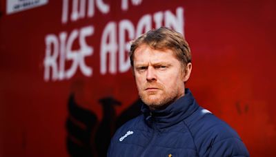 Damien Duff claims he would ‘raze Abbotstown to the ground’