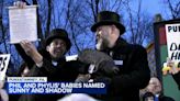 Punxsutawney Phil's babies are named Shadow and Sunny