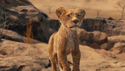Watch the first trailer for Lion King prequel movie