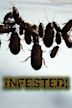 Infested!