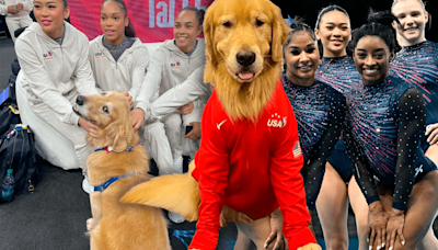 Conoce a Beacon, el perro Golden Retriever viral, que acompaña a Simone Biles y USA en los JJ. OO. París 2024