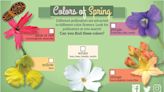 Tracktivity – Colors of Spring
