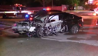 Mother killed in Elk Grove Village crash ID'd by family; several injured, police say
