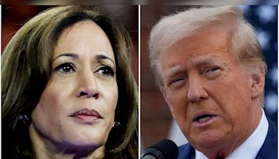 Trump to hold rallies in Pennsylvania while Harris heads West, as hurricane disrupts campaign strategies - CNBC TV18