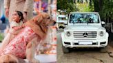 Anant Ambani’s golden retriever Happy owns a luxury car worth Rs 4 crore
