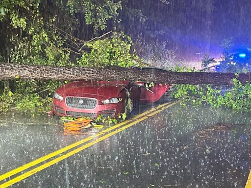 Gallery: Local storm damage, flooding due to Tropical Storm Debby