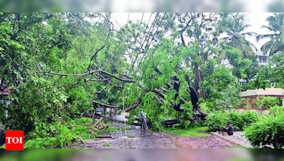 Heavy Rain Causes Damage and Flooding in Mangaluru City | Mangaluru News - Times of India