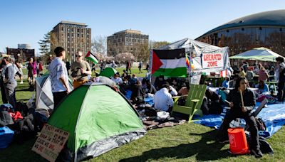 Palestinian flag raised at Harvard was put there by protestors, not the school | Fact check