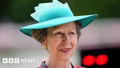 Princess Anne in hospital with minor injuries