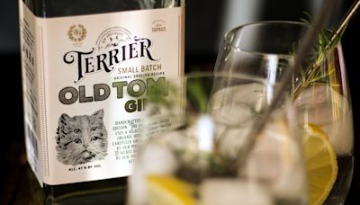 Cuál es el gin argentino premiado en uno de los certámenes más importantes del mundo