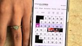 Indian man proposes to puzzle-loving girlfriend through her favourite crossword