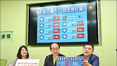 選罷法修法今排審 藍綠動員攻防