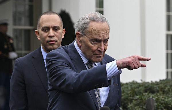 Schumer and Jeffries quietly pushed to delay virtual DNC vote to nominate Biden