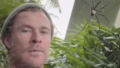 Chris Hemsworth Shares Close Encounter with Huge Spider and Jokes ‘Didn’t Even Scare Me’