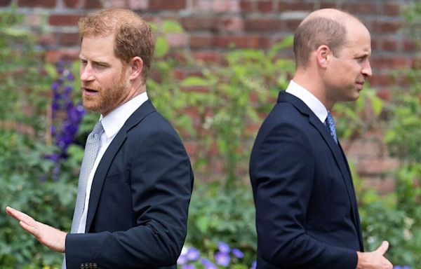 Harry's eight-word remark about William and Charles stories left out of Spare