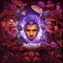 Indigo (Chris Brown album)