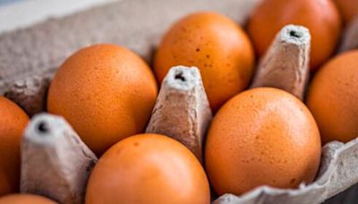 Eggs will stay fresh for longer in summer when stored using the American method