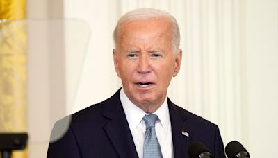 Senior Democrats reveal party verdict: 'Everyone wants Biden to quit'