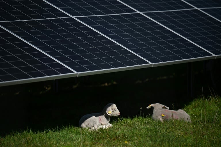 Chinese firms exit Romania solar tender after EU probe