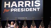 'White Dudes for Harris' is the latest in a series of Zoom gatherings backing the vice president