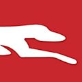 Greyhound Australia