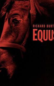 Equus (film)