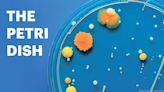 The Petri Dish: Nabla Bio nabs $26M, X4 gets capital infusion - Boston Business Journal