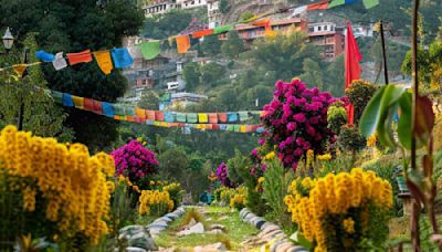 Discover Dharamshala: A Journey Through Natures Beauty And Cultural Riches