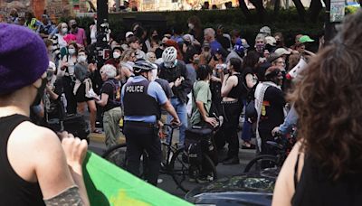 Dozens Arrested After Pro-Palestine Protest at the Art Institute of Chicago