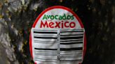 US suspends Mexico avocado, mango inspections over security concerns