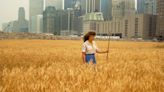 A pioneering artist once planted two acres of wheat in New York City as an act of rebellion. Now, a new field rises