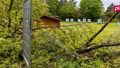 Sturm in Darmstadt: Gleich mehrere Bäume umgestürzt