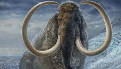 “Fósiles de cromosomas”: una técnica revolucionaria rescata el ADN de un mamut y acerca la resurrección de especies extinguidas