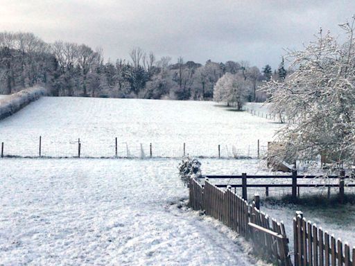 Snow falls in south-west England and Wales ahead of wet and windy weather