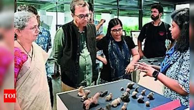 Ex-professor traces archaeology, design link | Ahmedabad News - Times of India