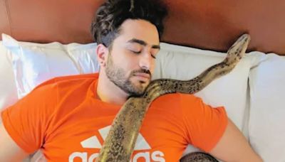 Aly Goni On Audio Series Secret Ameerzaada: 'Couldn't Resist Taking On The Challenge' - News18