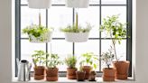 8 indoor herb garden ideas that will look great, and make your home smell amazing
