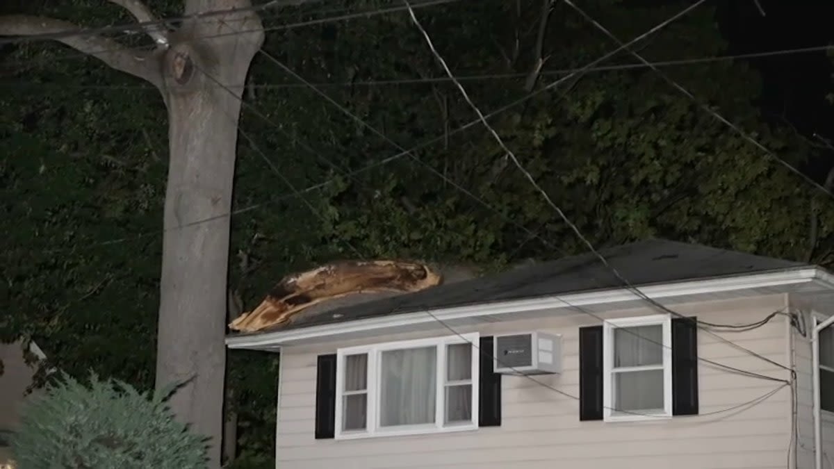 Severe storms hit NYC area after suffocating heat, downing trees and upending transit