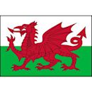 Wales national association football team