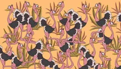 El 97% de la población falla: descubre la sombrilla oculta entre los avestruces en 9 segundos