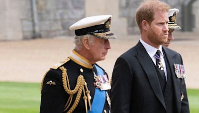King Charles Reportedly Gives Prince Harry's Military Role To Prince William