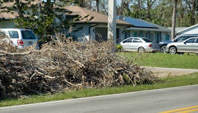 Hurricane Beryl debris pickup begins in Sugar Land, Fort Bend County