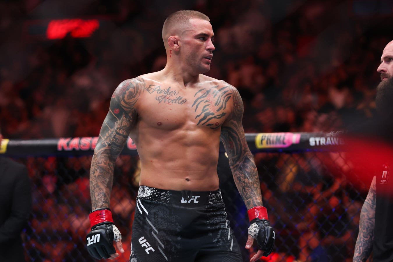 UFC 302 Fight Card Preview, Odds & Predictions: Makhachev Vs. Poirier