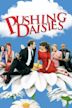 Pushing Daisies