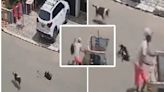 En video quedó registrado cómo un hombre en Sogamoso, Boyacá, apuñaló un perro