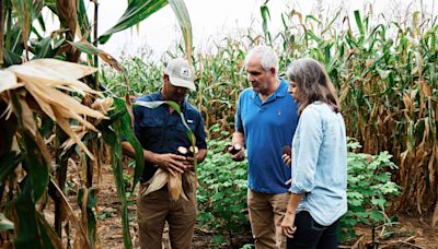 How an Award-Winning Distillery Helped Saved a Grain From Near Extinction