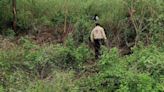 Localizan fosas clandestinas en el municipio de Zacatepec, Morelos