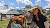 I paid $150 to cuddle cows. I expected it to be like the Instagram Reels, but it was totally disappointing.